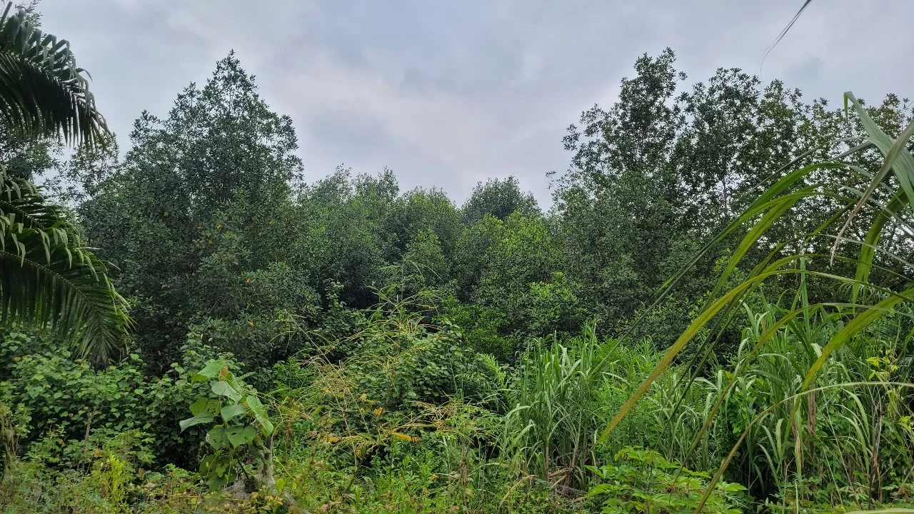 Ecossistemas e Habitats