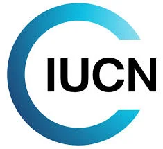 UCIN