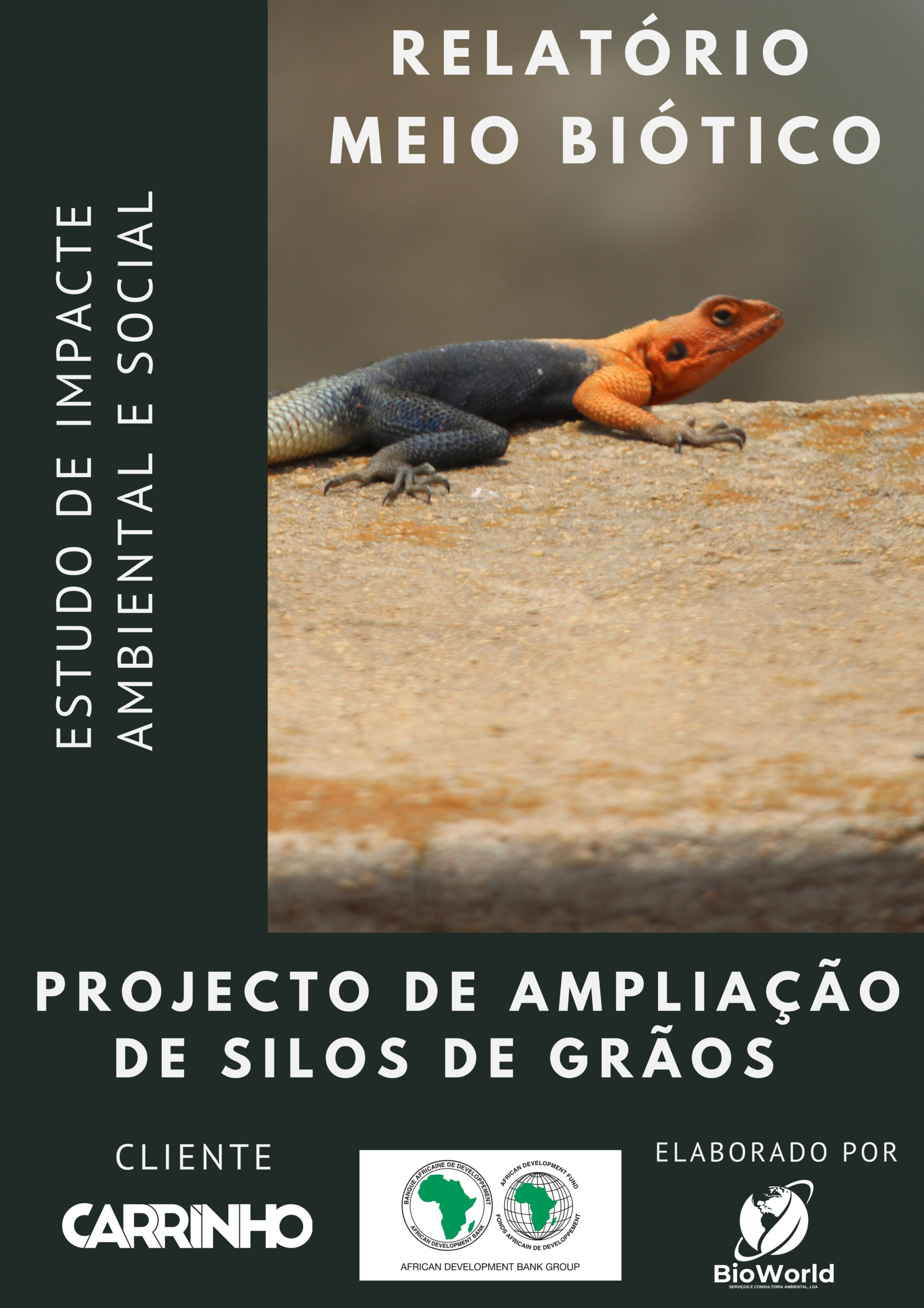 Projeto Silos