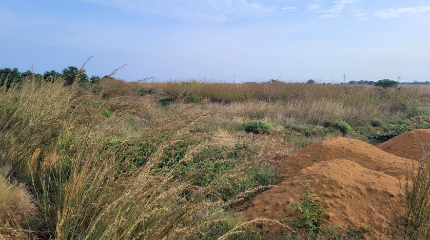 Área de avaliação ambiental