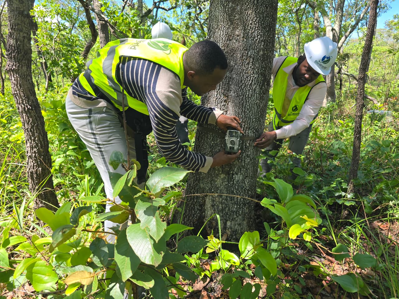 Porto e transporte marítimo