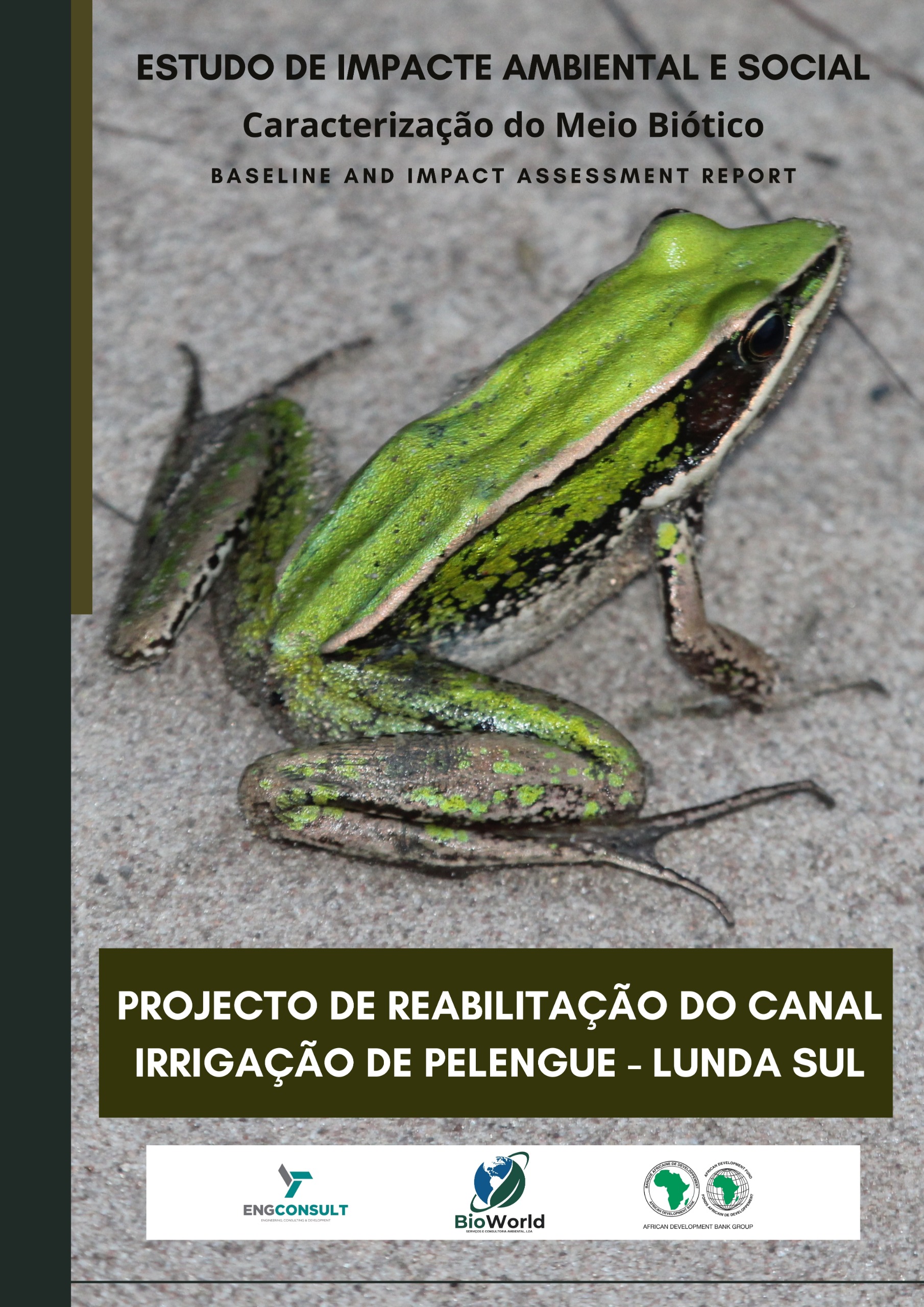 Projecto Pelengue Lunda Sul